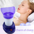 Facial Steamer